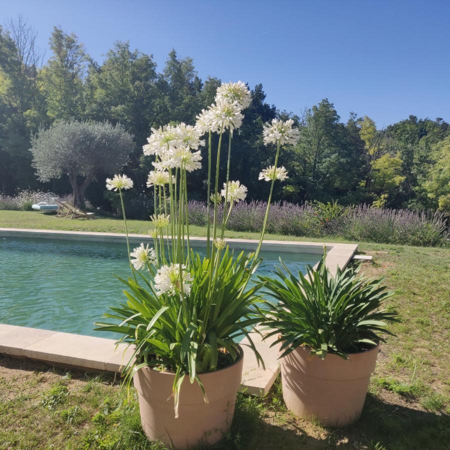 Chambre Double En Pleine Nature "La Clairiere De L'Ange" Peyrins Kültér fotó
