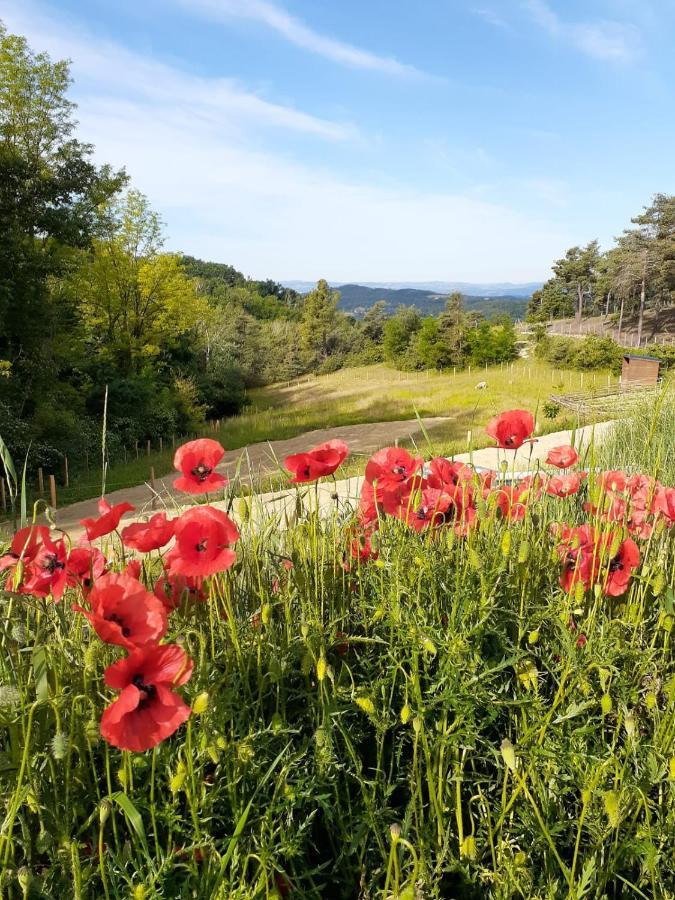 Chambre Double En Pleine Nature "La Clairiere De L'Ange" Peyrins Kültér fotó