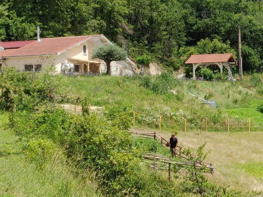 Chambre Double En Pleine Nature "La Clairiere De L'Ange" Peyrins Kültér fotó
