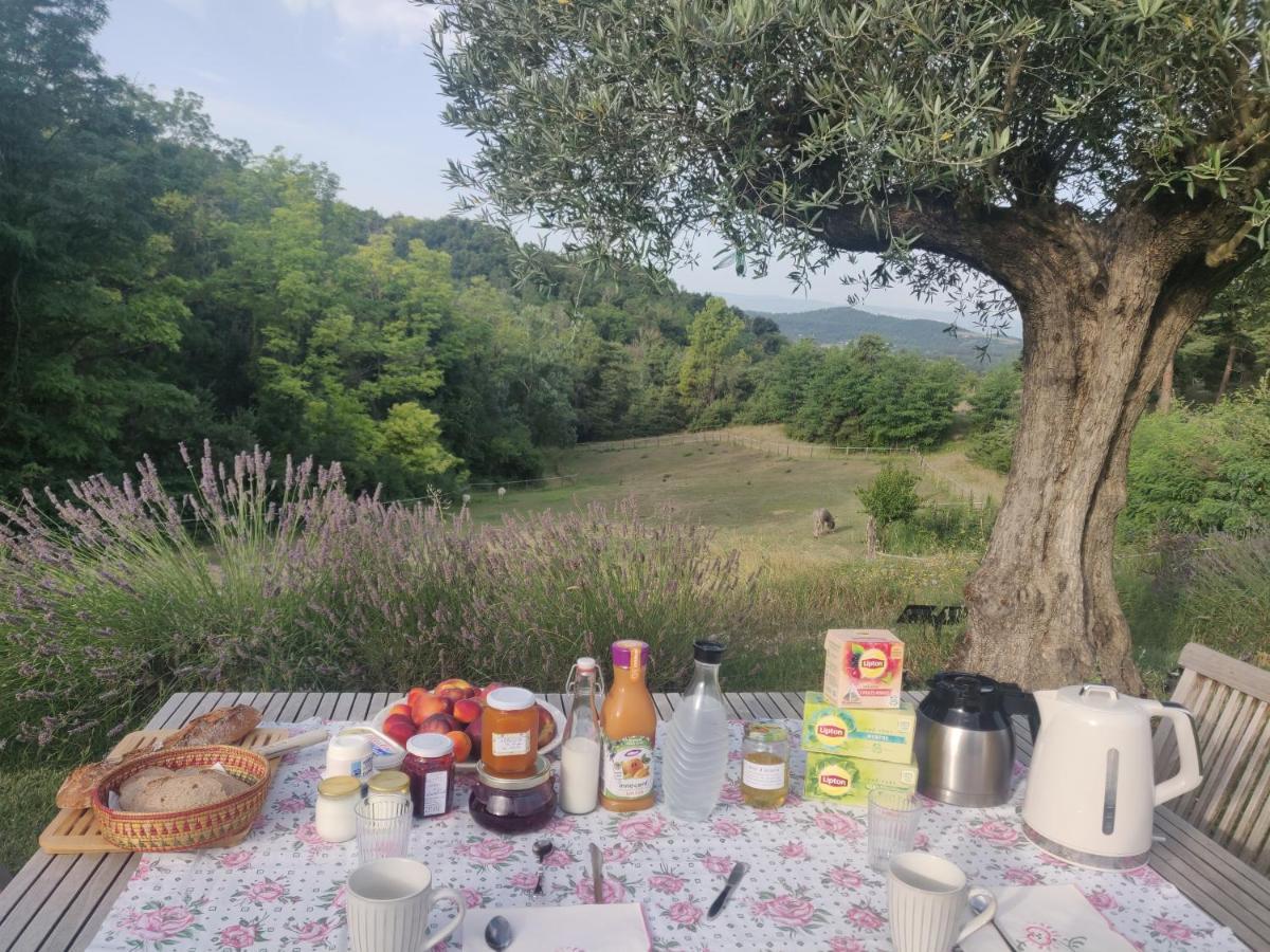 Chambre Double En Pleine Nature "La Clairiere De L'Ange" Peyrins Kültér fotó